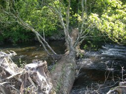 Entretien &raquo; Juin 2023